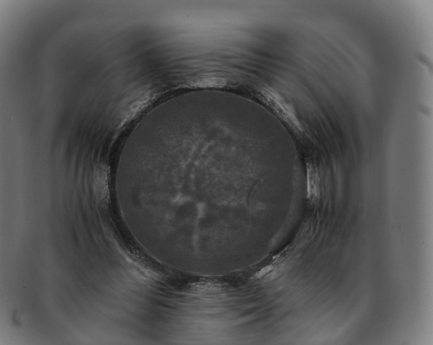 X0000091710300200708311122