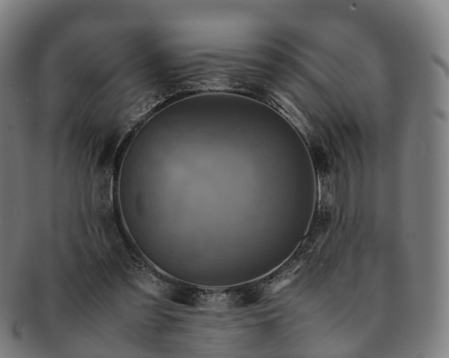 X0000091710301200708311122