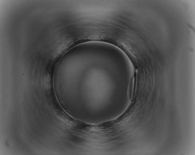 X0000091710303200708311122