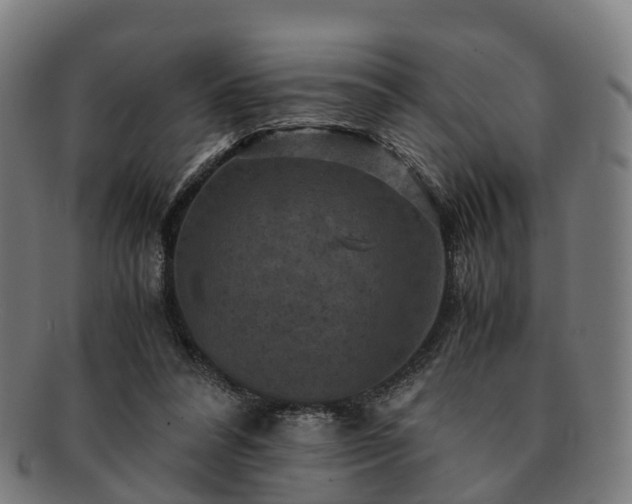 X0000091710304200708311121