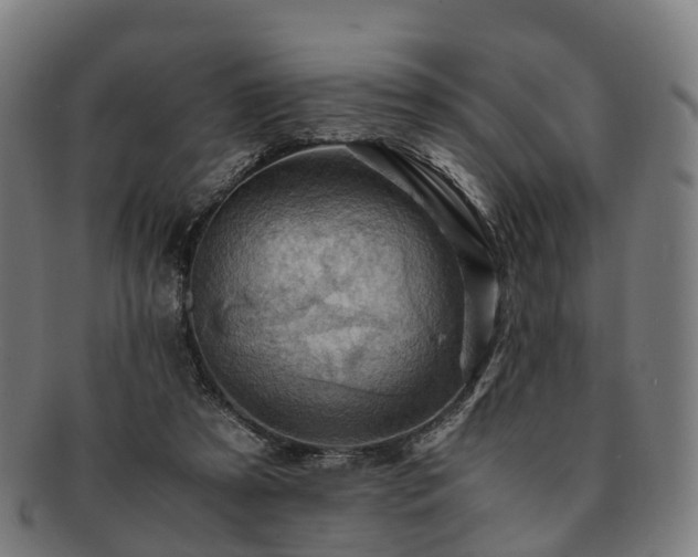 X0000091710305200708311121