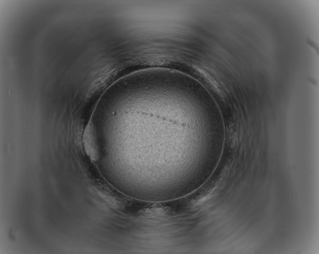 X0000091710307200708311121