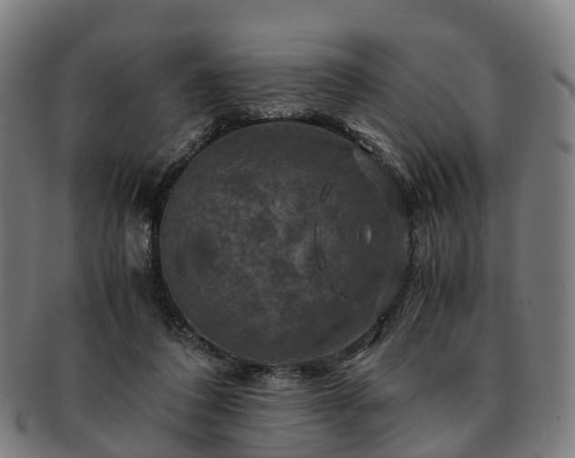 X0000091710308200708311121