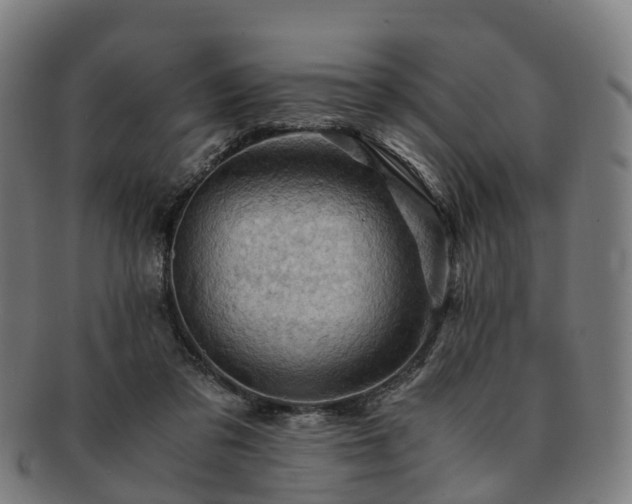 X0000091710309200708311121