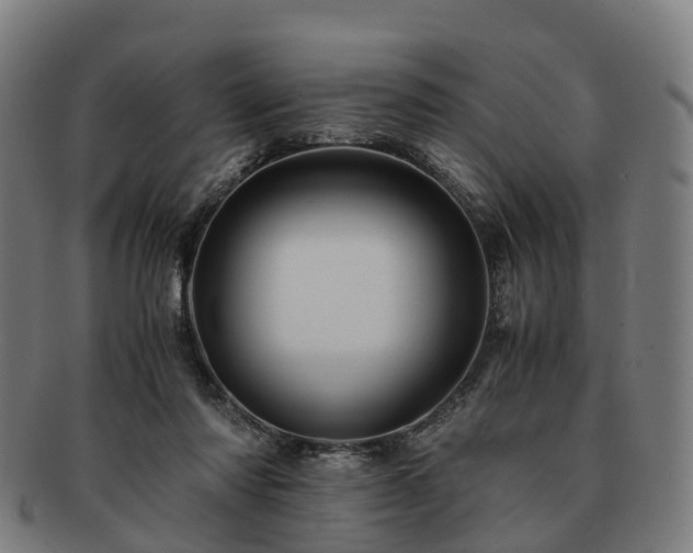 X0000091710310200708311121