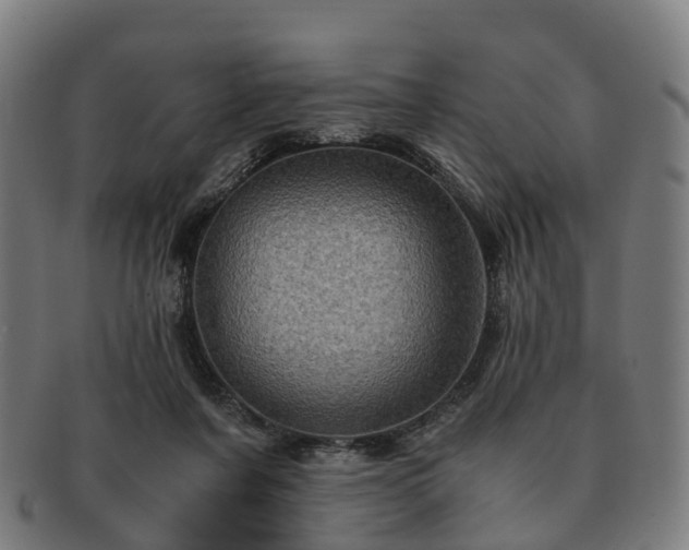 X0000091710311200708311121