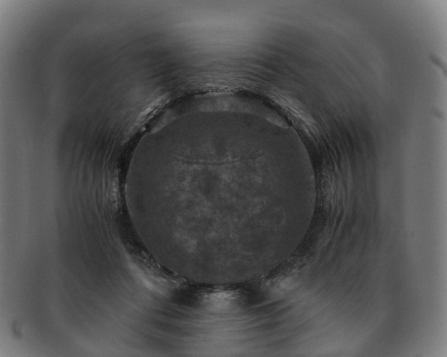 X0000091710312200708311121