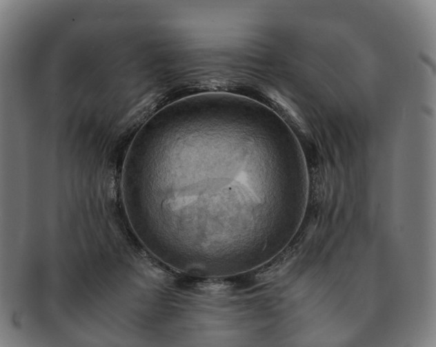 X0000091710313200708311121