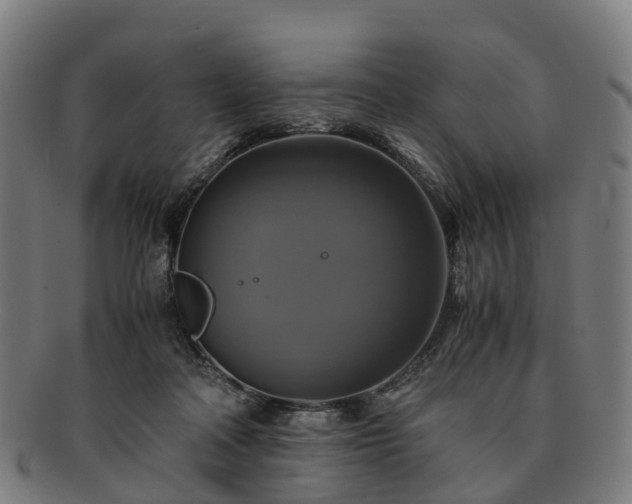 X0000091710314200708311121