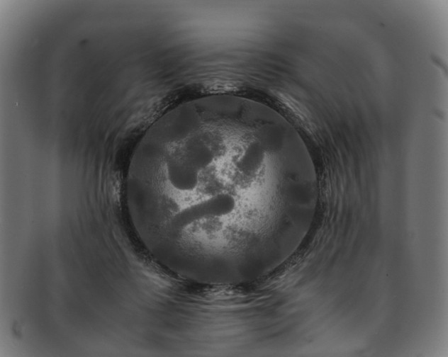 X0000091710315200708311121