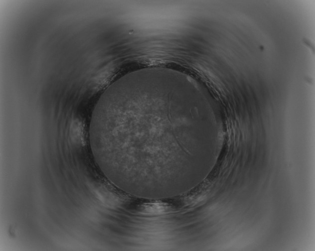 X0000091710316200708311121