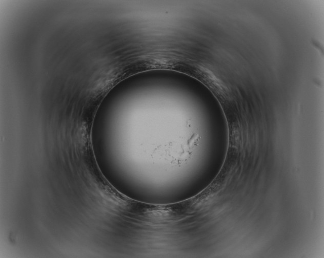 X0000091710318200708311121