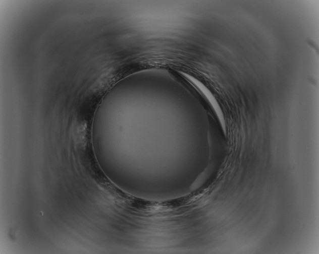 X0000091710319200708311121