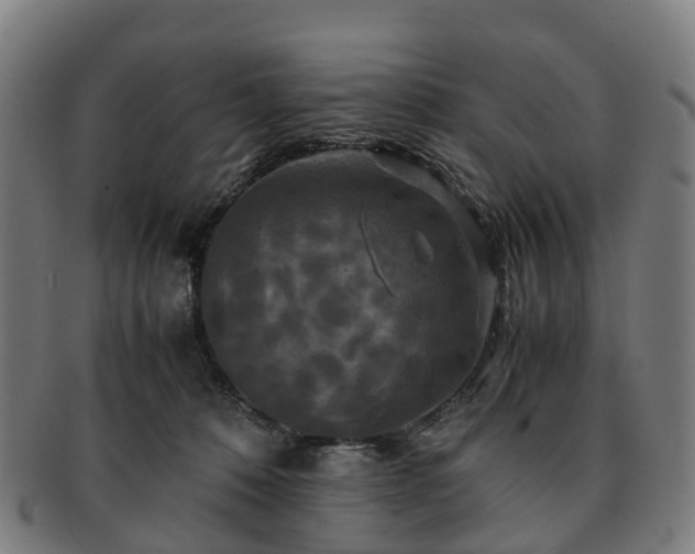 X0000091710320200708311121