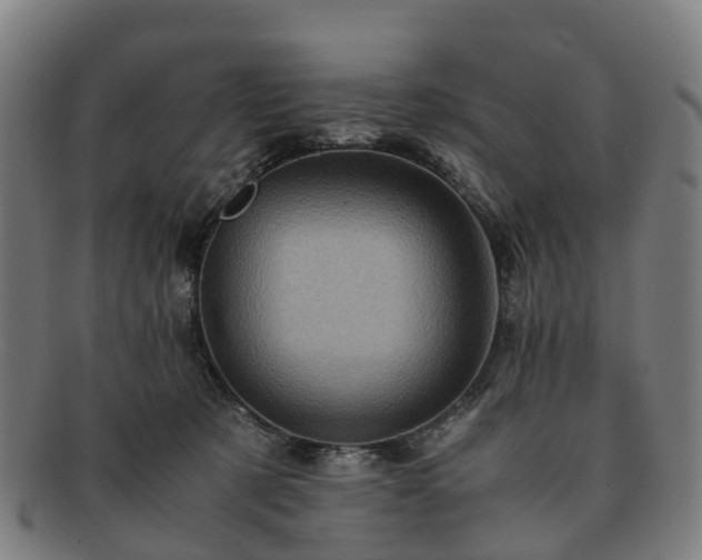 X0000091710321200708311121