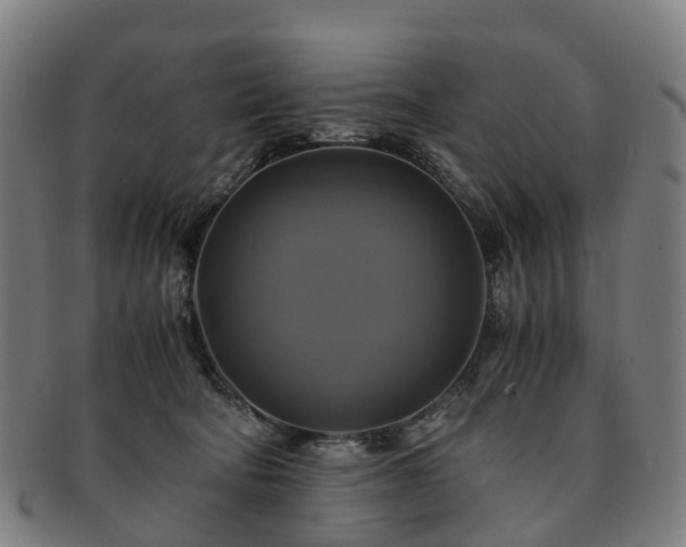 X0000091710322200708311121