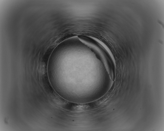 X0000091710323200708311121