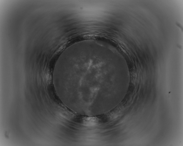 X0000091710324200708311121