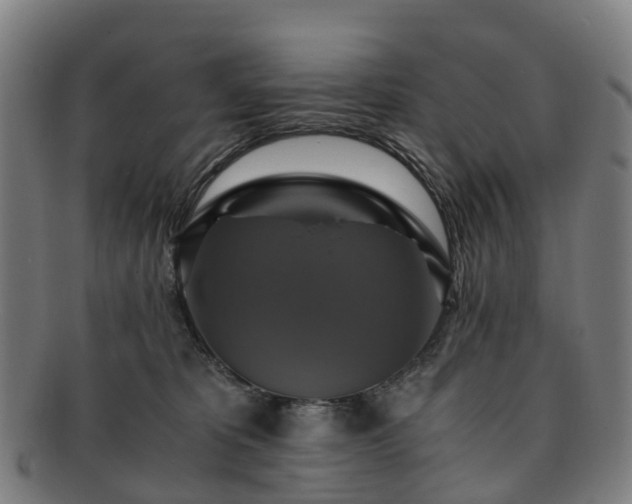 X0000091710325200708311121