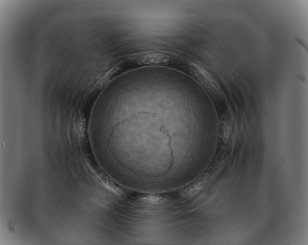 X0000091710326200708311121