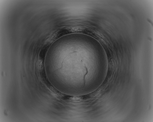 X0000091710327200708311121