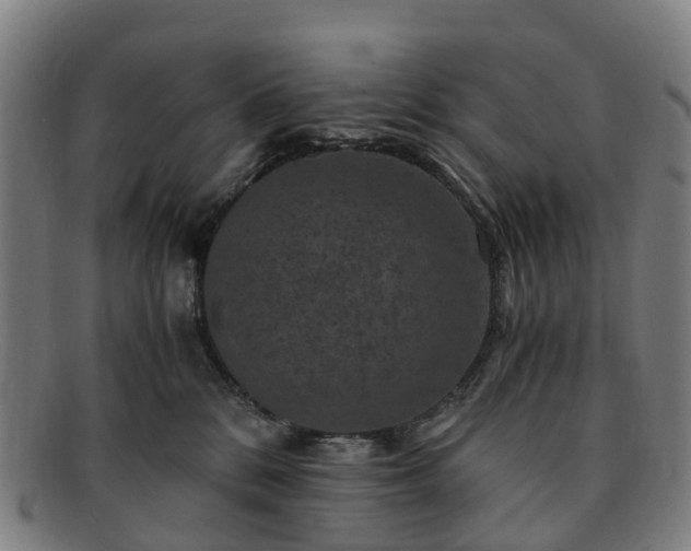 X0000091710328200708311121