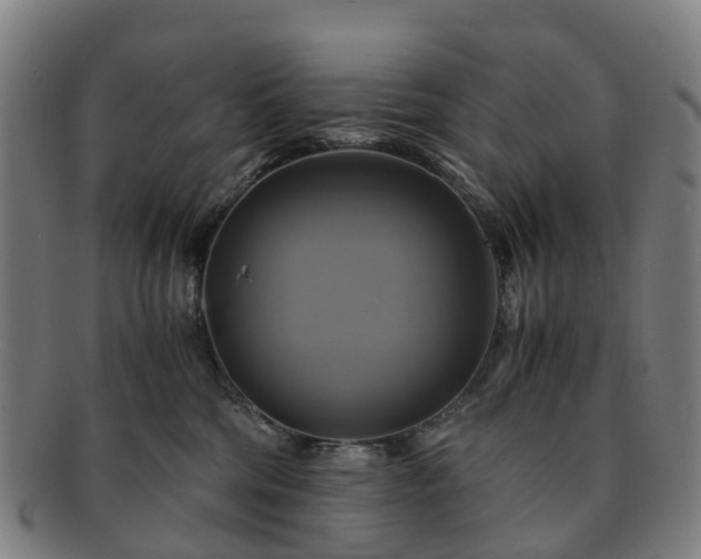 X0000091710330200708311121