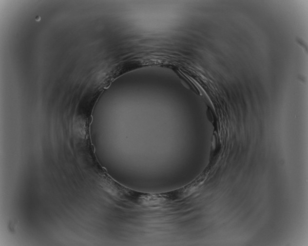 X0000091710331200708311121