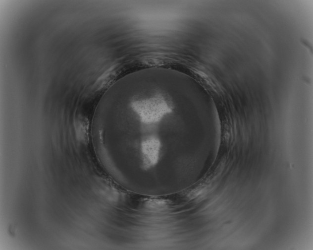 X0000091710332200708311121