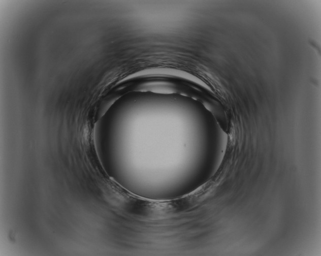 X0000091710333200708311121