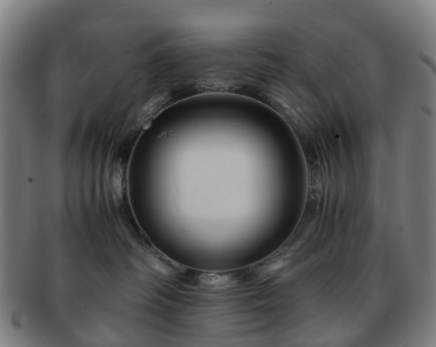 X0000091710334200708311121