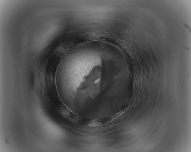 X0000091710335200708311121