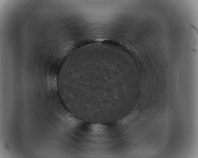 X0000091710336200708311121