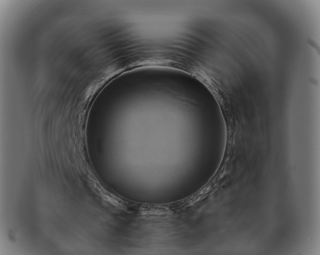 X0000091710337200708311120