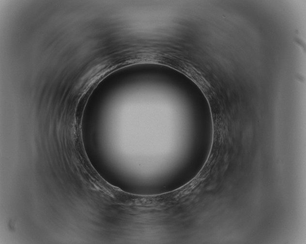 X0000091710338200708311120