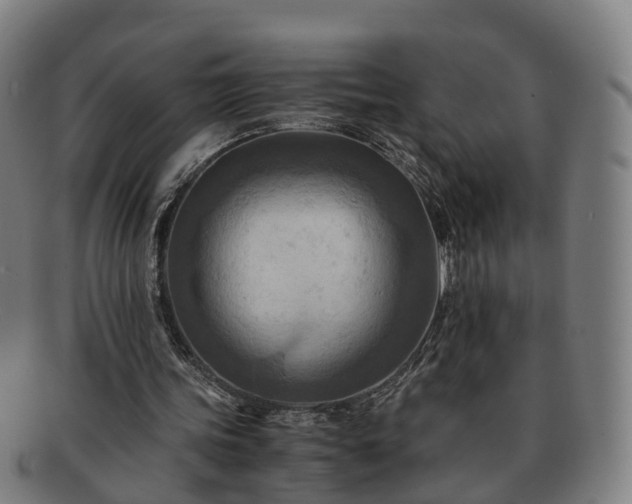 X0000091710339200708311120