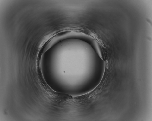 X0000091710340200708311120