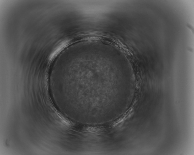 X0000091710341200708311120