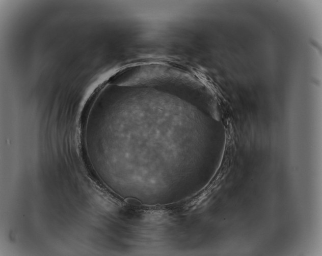 X0000091710342200708311120