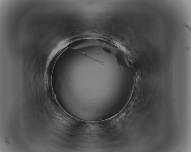 X0000091710343200708311120