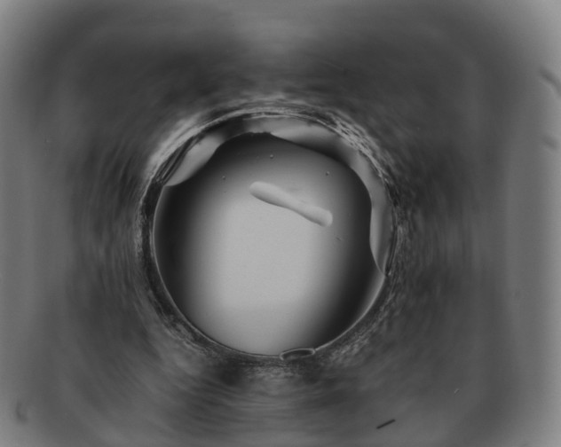 X0000091710344200708311120