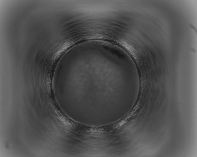 X0000091710345200708311121