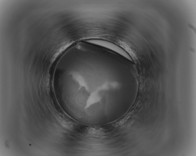 X0000091710346200708311121