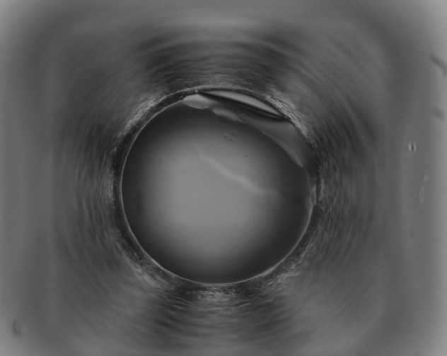 X0000091710347200708311121