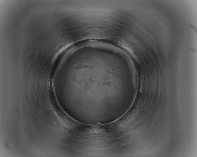 X0000091710348200708311121