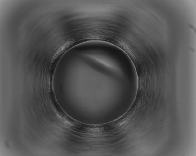 X0000091710349200708311121