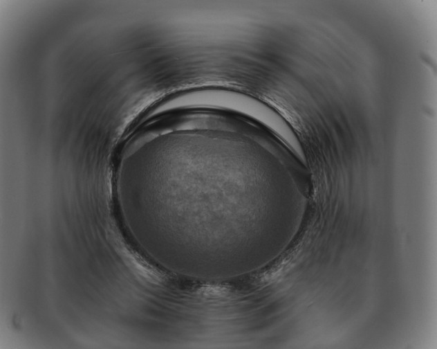 X0000091710350200708311121