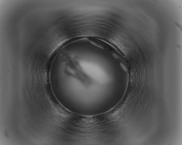 X0000091710351200708311121