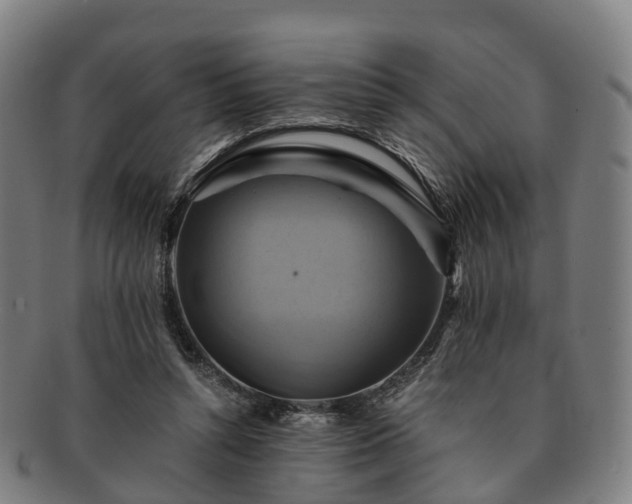 X0000091710352200708311121