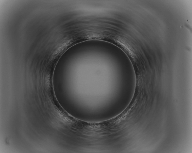 X0000091710353200708311121